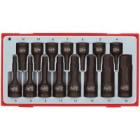 15 delars Krafthylsbitssats (insex) för inv sexkanthål TT9015HX Teng Tools