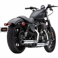 2 SLIP-ON Race Pro 3 Tum COBRA
