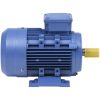 3-fas elektrisk motor aluminium 2,2kW/3HP 2-polig 2840 RPM vidaXL – miniatyr 2