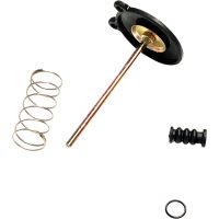 Acceleratorpump K&S Technologies