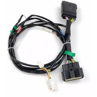 Adapter Dialdim Wiring DENALI