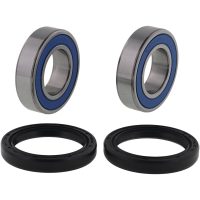 All Balls, Hjullagersats, RIEJU 22-24 MR PRO 250/MR PRO 300, 24 MR PRO 200, RIJEU 23 MR PRO 200