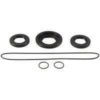 ALL BALLS Rear Differential Seal Kit