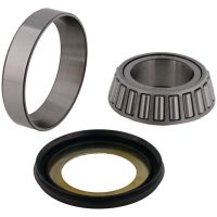 ALL BALLS Steering Bearing Kit with Seal