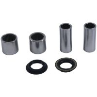 ALL BALLS Swing Arm Bearing Kit