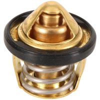 ALL BALLS Thermostat