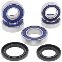 ALL BALLS Wheel Bearing Kit