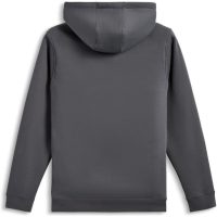 Alpinestars Hoodie Fasting Grå, M
