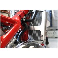 Aluminium Radiator guard - Beta RR125 AXP