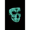 Ansiktsmask SKULL FACE GLOW Svart/Vit Zan Headgear One Size – miniatyr 2