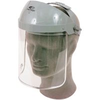 Ansiktsskärm Honeywell Clearways CB14