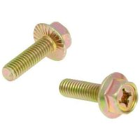 Avgasbultar M6x16 (2 st)