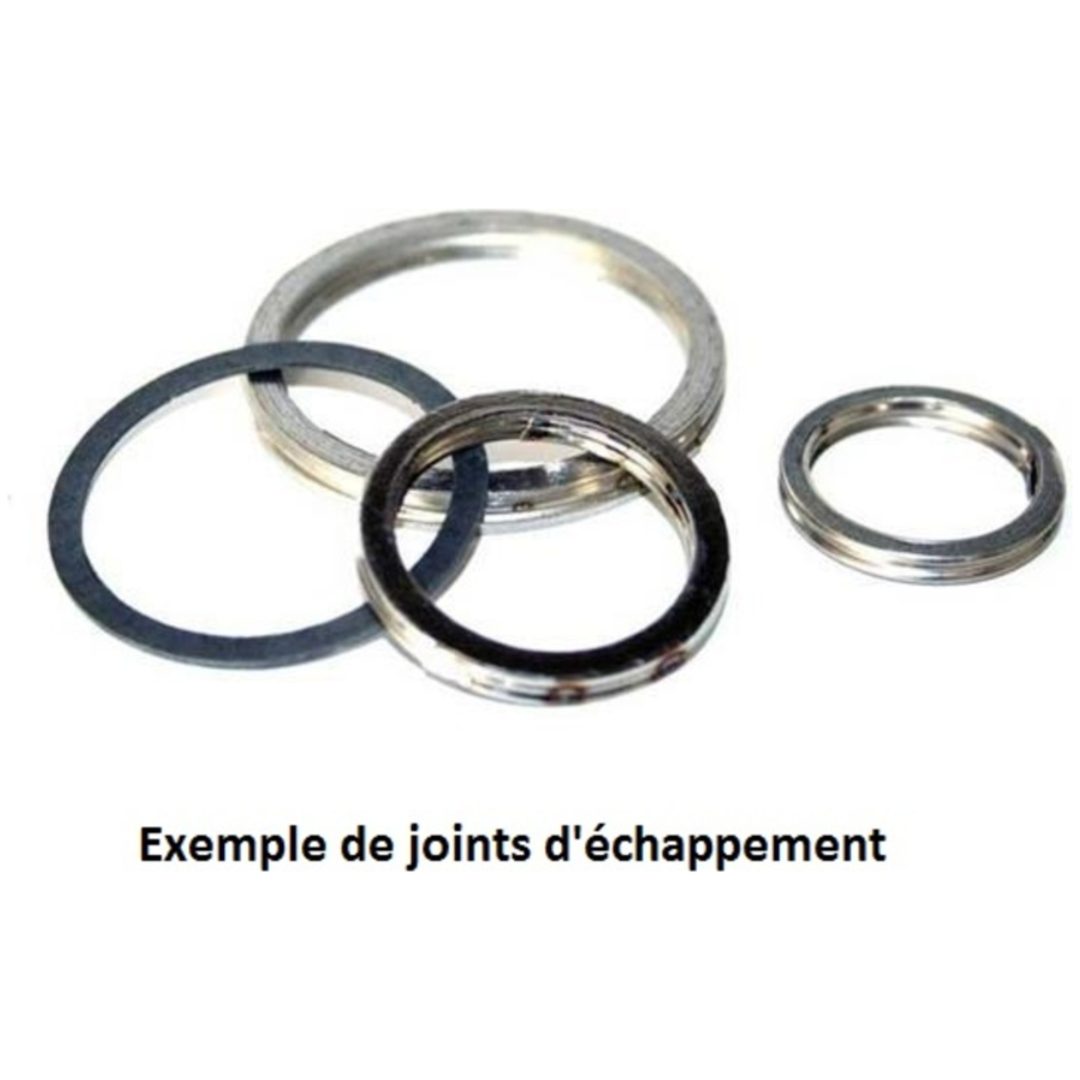 Avgaspackning CENTAURO