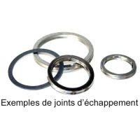 Avgaspackning CENTAURO