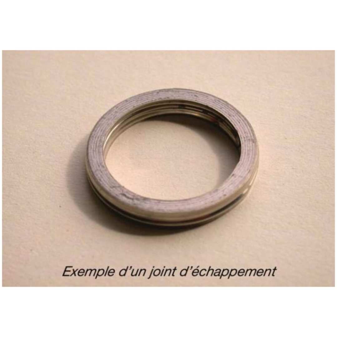 Avgaspackning CENTAURO