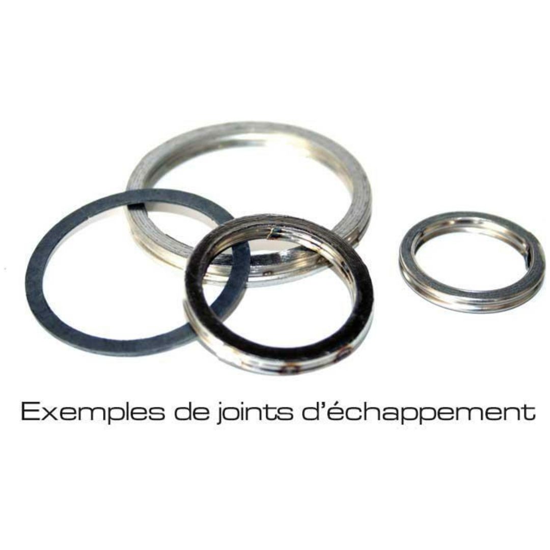 Avgaspackning CENTAURO