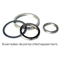 Avgaspackning CENTAURO