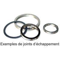 Avgaspackning CENTAURO