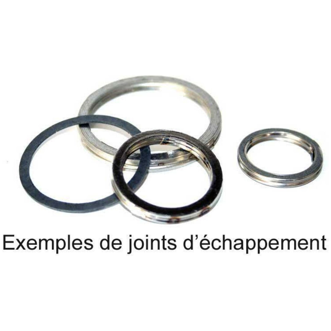 Avgaspackning CENTAURO