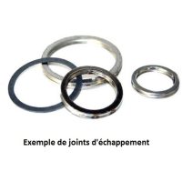 Avgaspackning CENTAURO