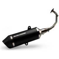 Avgassystem RX MALOSSI