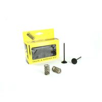 Avgasventil Kit PROX