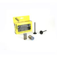 Avgasventil Kit PROX