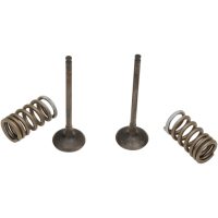 Avgasventil Kit PROX