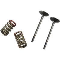 Avgasventil Kit PROX
