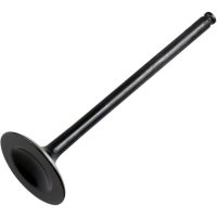 Avgasventil Standard HOT CAMS