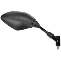 Backspeglar Oem Vicma