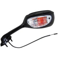 Backspeglar Oem Vicma