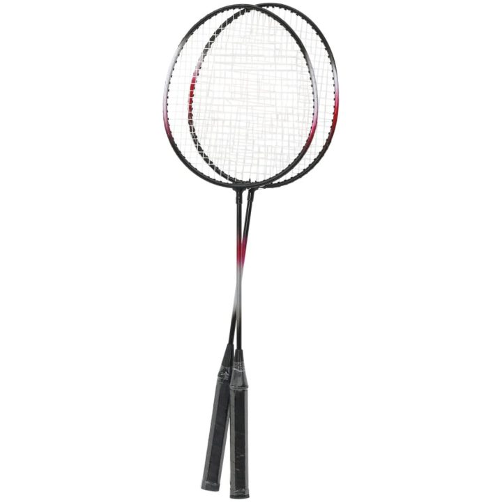 Badmintonset med 2 racketar, nät och förvaring 292x30x152 cm vidaXL – bild 4
