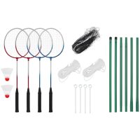 Badmintonset med 4 racketar och nät 620x151 cm vidaXL