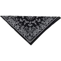 Bandana Paisley Svart ZAN HEADGEAR