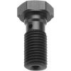 Banjo Bult M10x1,25 TRW Svart – miniatyr 1