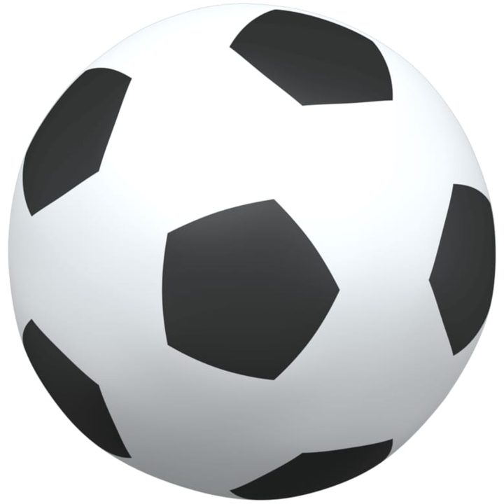 Barnfotbollsmål med målduk och boll 182x62x118 cm vidaXL – bild 10