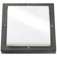 BASSI GRAFIT 10W LED