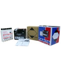 Batteri AGM Maintenance-Free Svart PARTS EUROPE