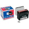 Batteri AGM Maintenance-Free Svart PARTS EUROPE BATTERY YTX24HL-BS – miniatyr 2