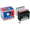 Batteri AGM Maintenance-Free Svart PARTS EUROPE BATTERY YTX24HL-BS – miniatyr 1