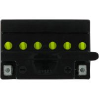 Batteri Standard Torrladdat Yuasa