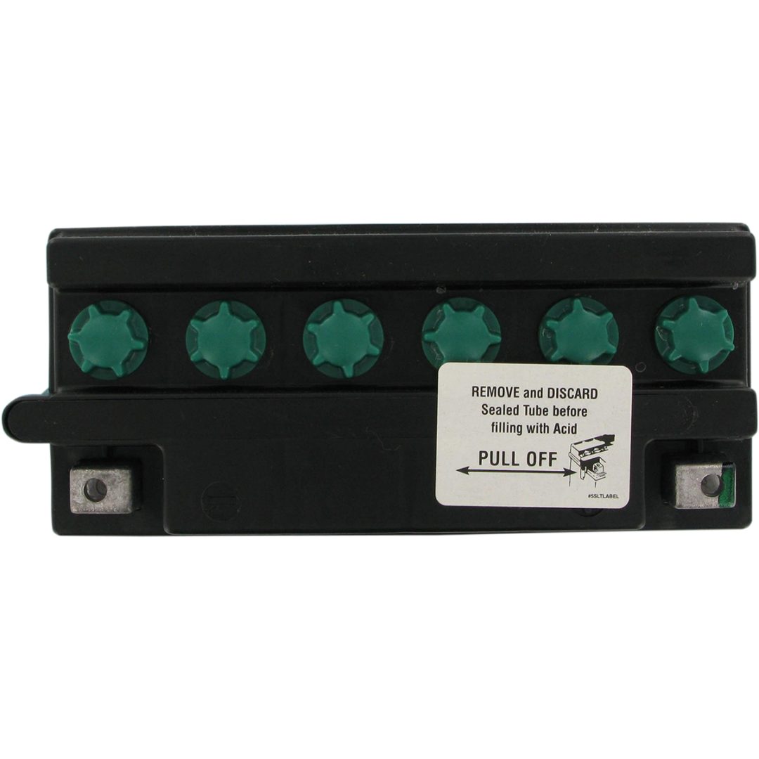 Batteri Standard Yuasa 205mm x 90mm x 162mm – bild 2