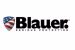 Blauer logotyp
