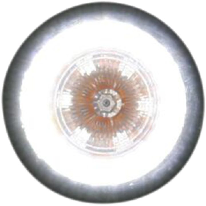 Blinkers Probeam Universal Led Bullet Bezel CUSTOM DYNAMICS – bild 3