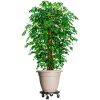 Blomvagnar med hjul 5 st diameter 40 cm svart 275 kg vidaXL – miniatyr 1