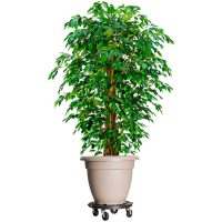 Blomvagnar med hjul 5 st diameter 40 cm svart 275 kg vidaXL