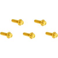 Bolt Kit - Derby Cover - 12-Point - Gold