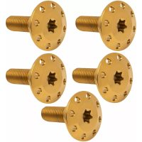 BOLT KIT ROTOR REAR HOLESHOT 5 PACK HUB MOUNT, GOLD