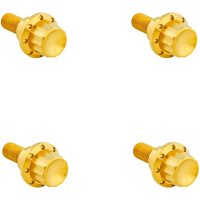 BOLT KIT TITANIUM 12PT WINDSHIELD GOLD